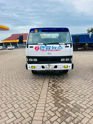 Hyundai Dynasty 2005 White