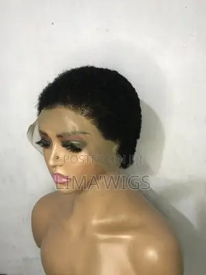 Low Cut Afro Wig