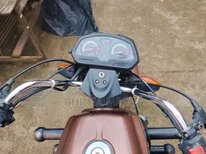 Apsonic AP150ZH-200 2025 Brown