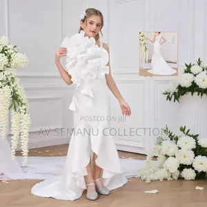 Girls Beautiful Party Dress