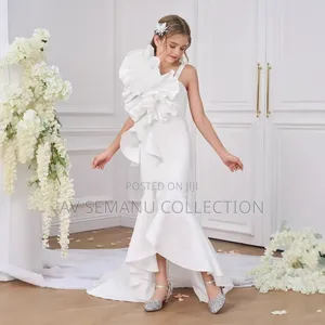 Girls Beautiful Party Dress