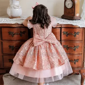 Baby Girl Glitter Dress