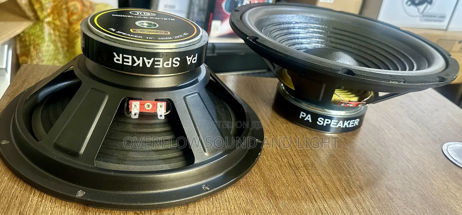 JBL —Pw1910 (10 Inches) Naked Speaker 350 Watts