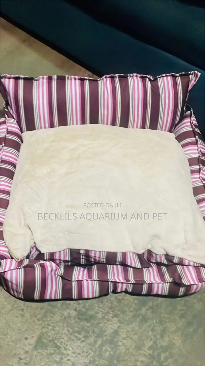 Lovely Fluffy Dog Beds
