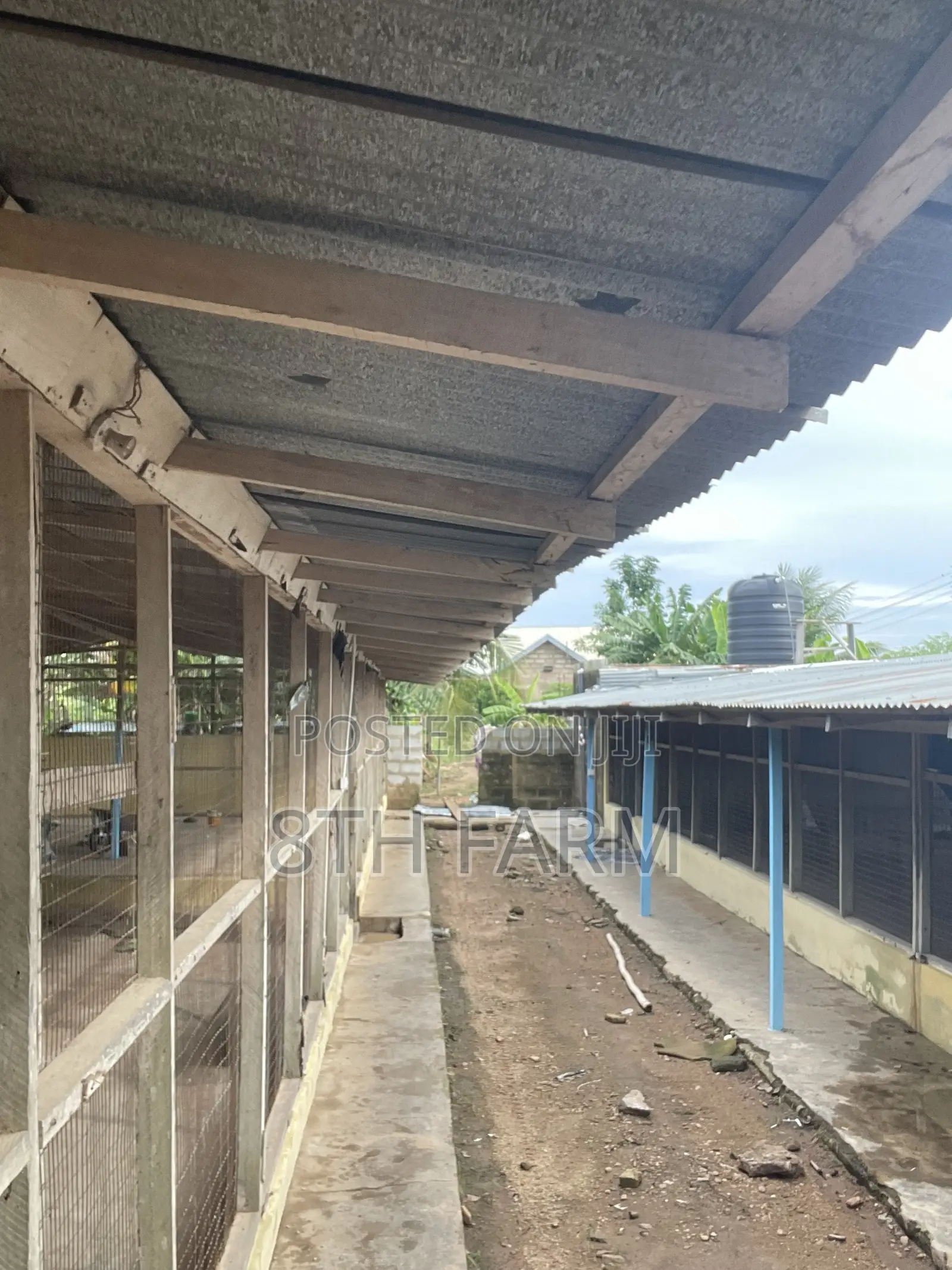 Poultry Farm Pens Available for Rent