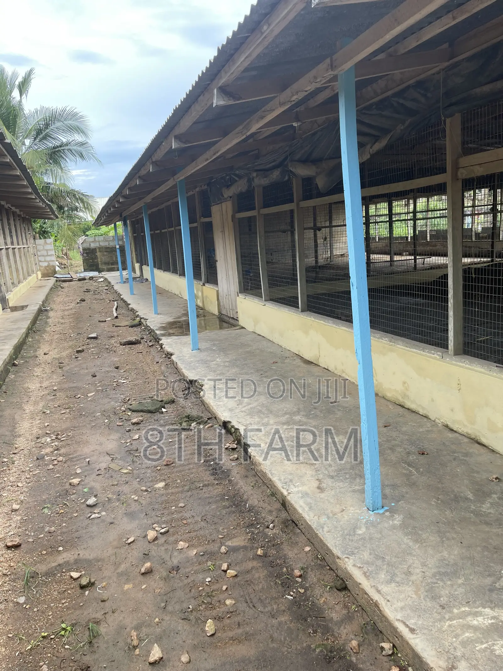 Poultry Farm Pens Available for Rent