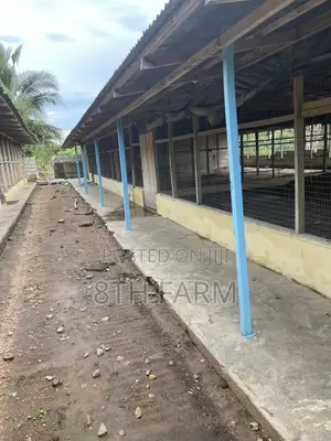 Poultry Farm Pens Available for Rent