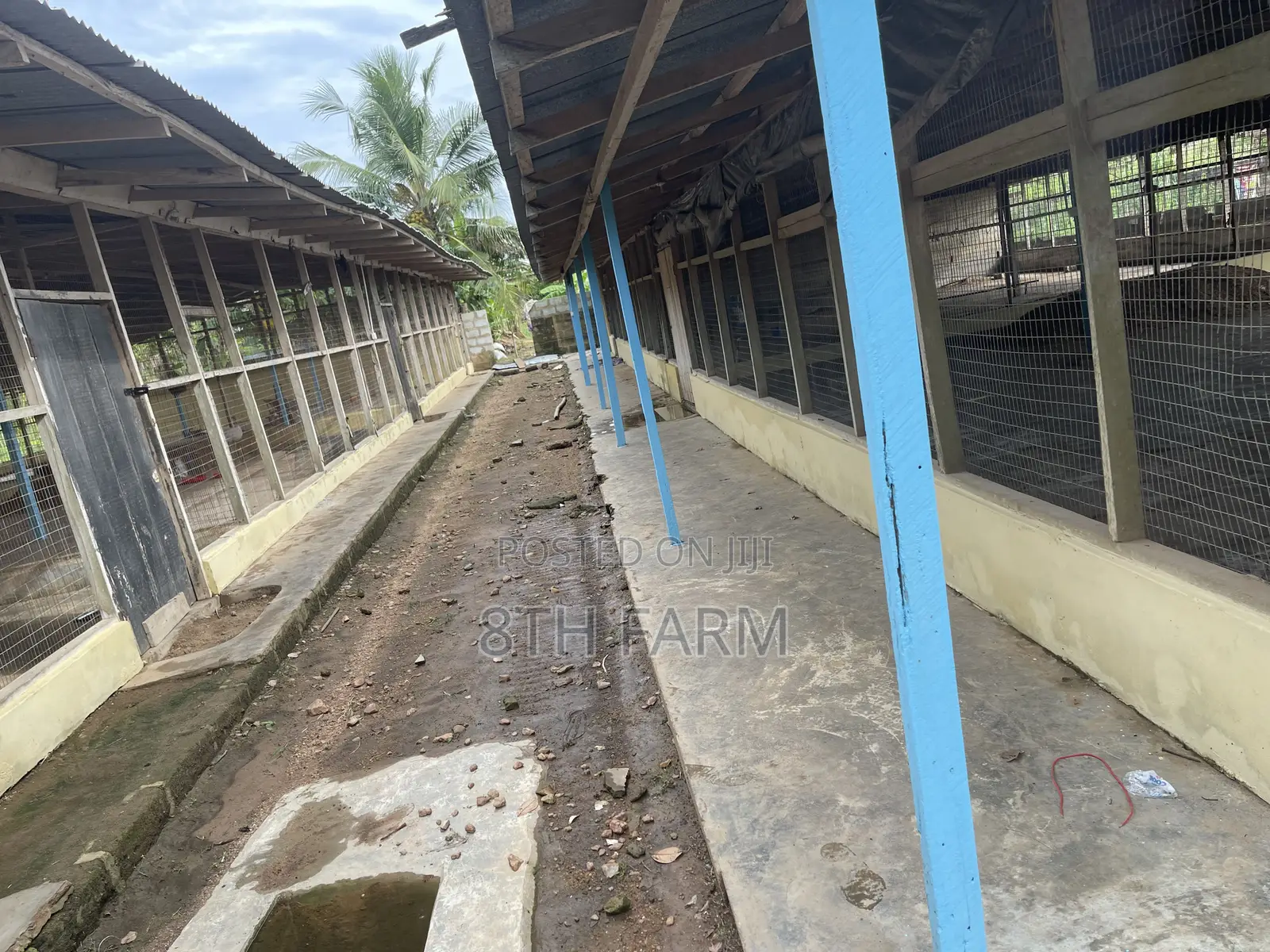 Poultry Farm Pens Available for Rent