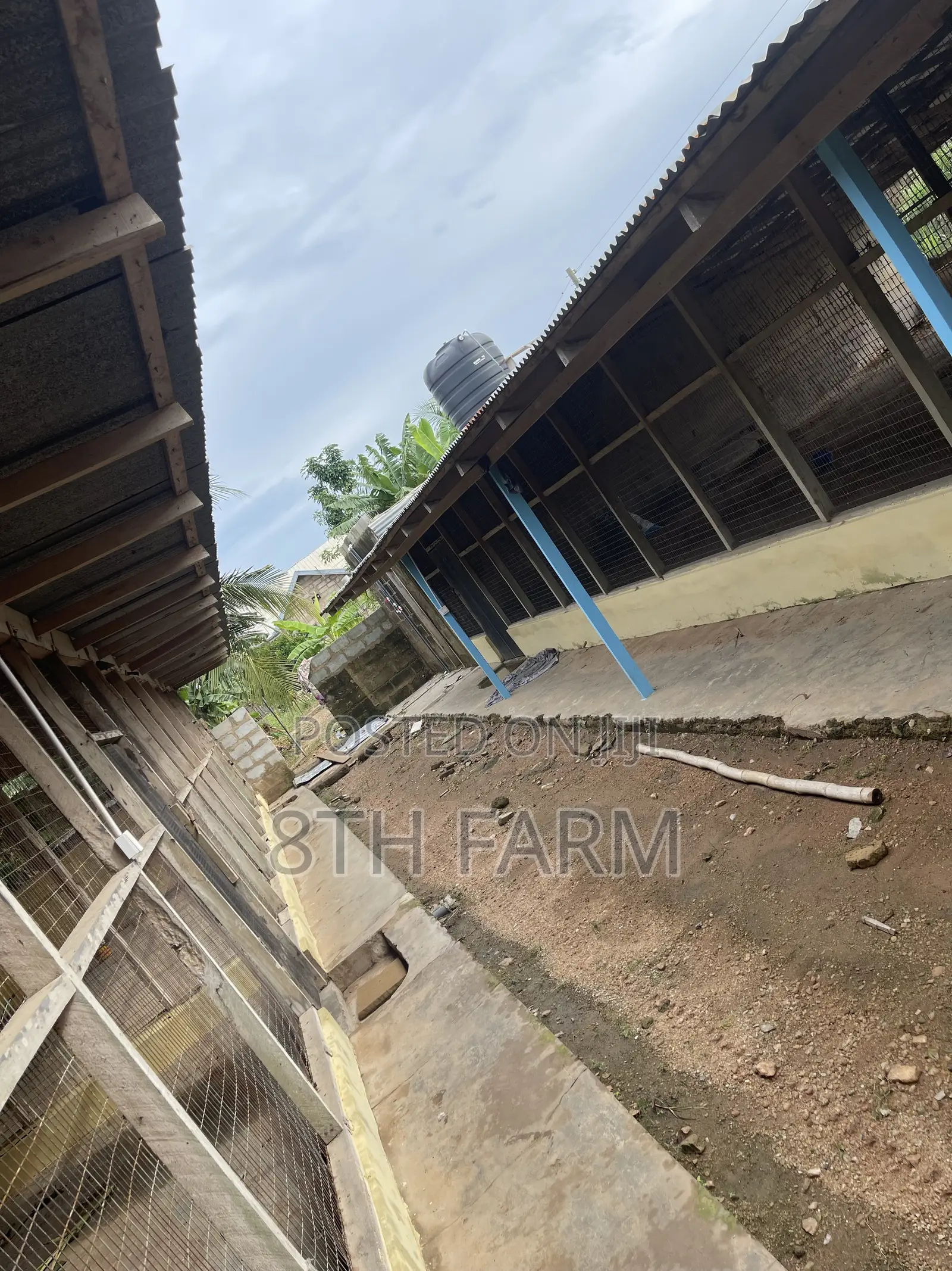 Poultry Farm Pens Available for Rent