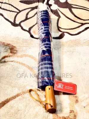 Silk Umbrellas