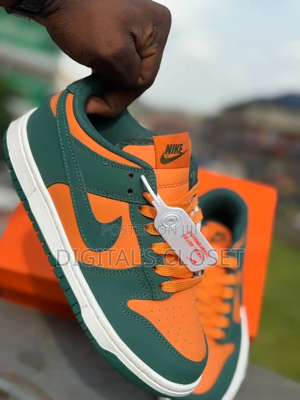 Original Nike Sb as Seen