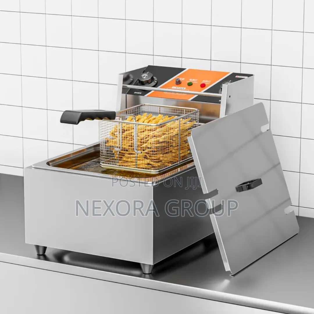 Single Deep Fryer – Stainless Steel Electric Frying Machine