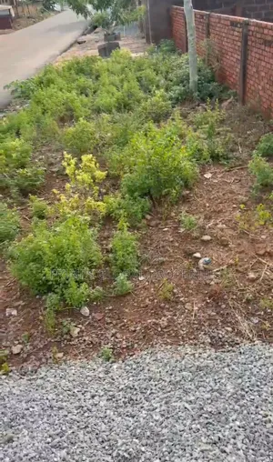 Full Plot of Land at Adjiriganor Road Side Fir Sale