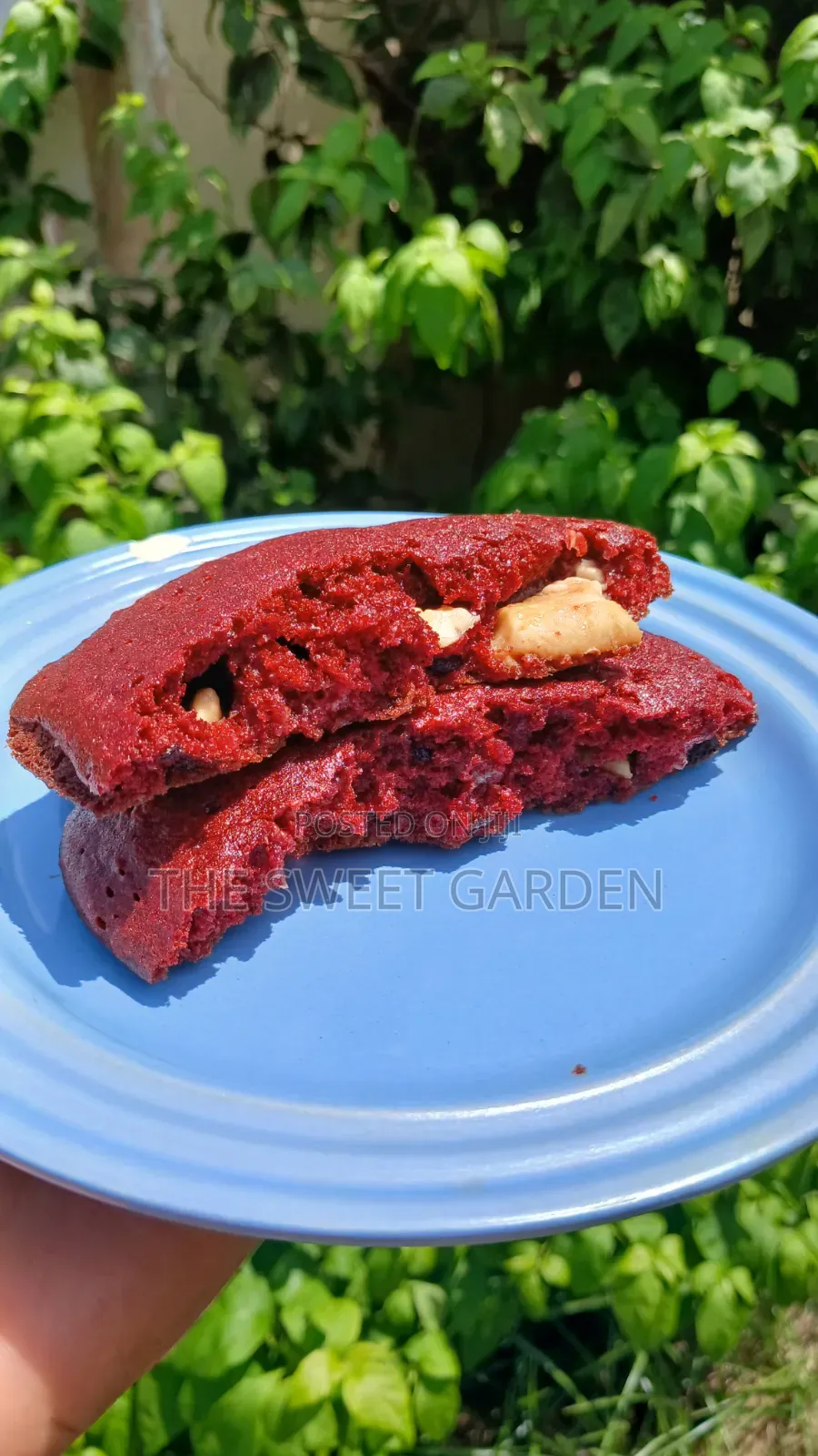Gooey Red Velvet Chocolate Chip Cookies