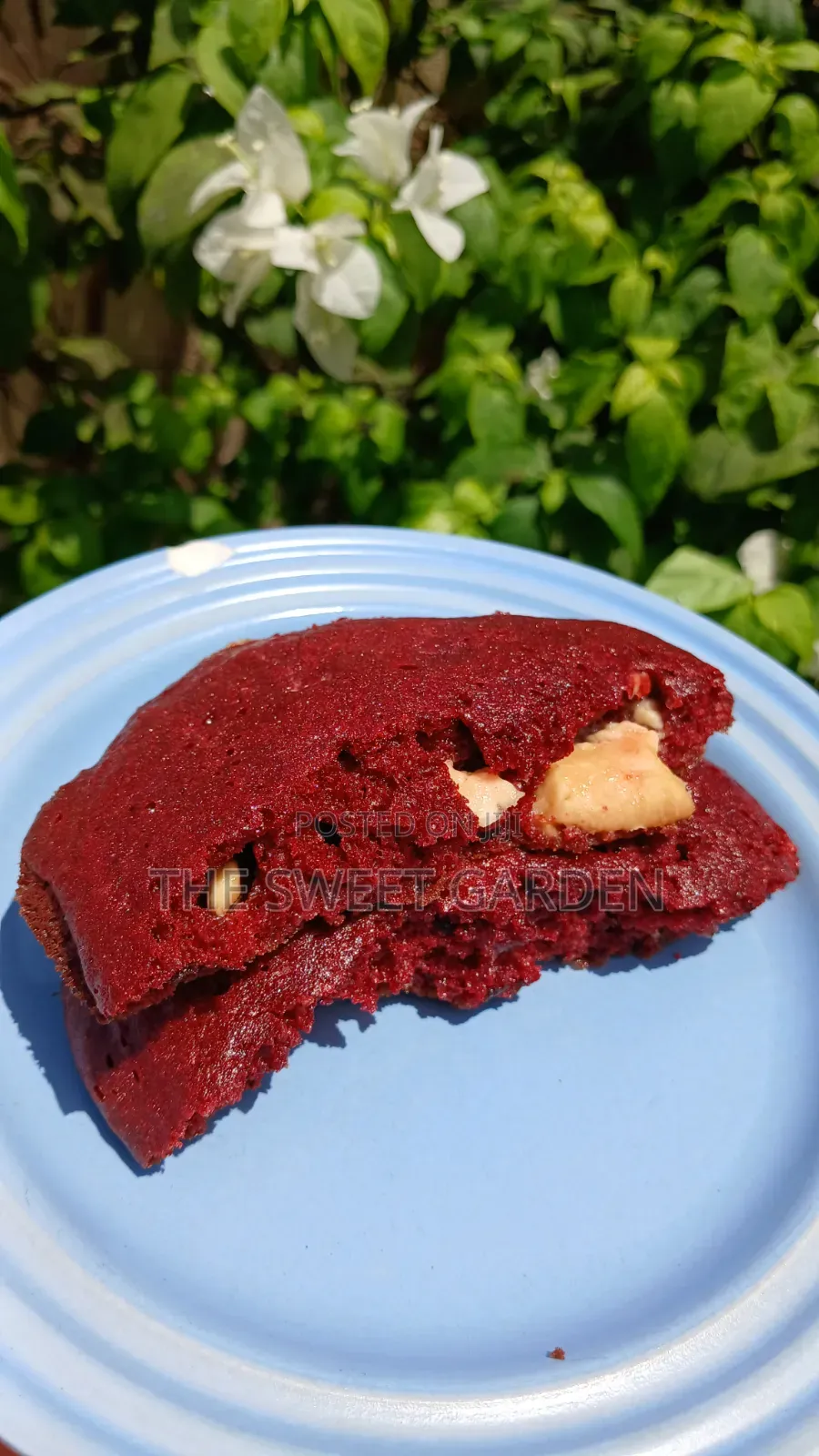 Gooey Red Velvet Chocolate Chip Cookies
