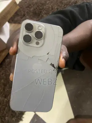 Apple iPhone 15 Pro Max 256 GB Gray