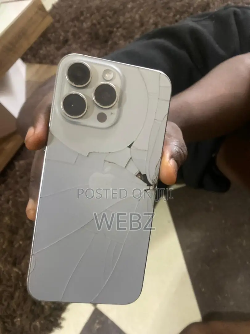 Apple iPhone 15 Pro Max 256 GB Gray
