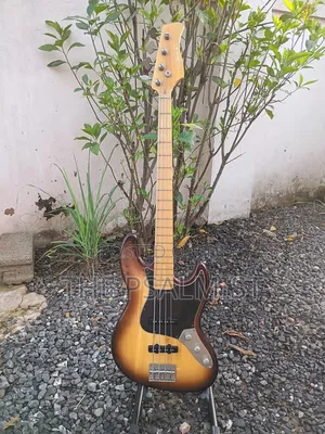 Neo Classicism Dame 4strings Bass Professional Guitar 8