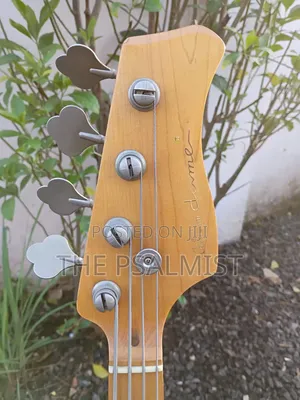 Neo Classicism Dame 4strings Bass Professional Guitar 8