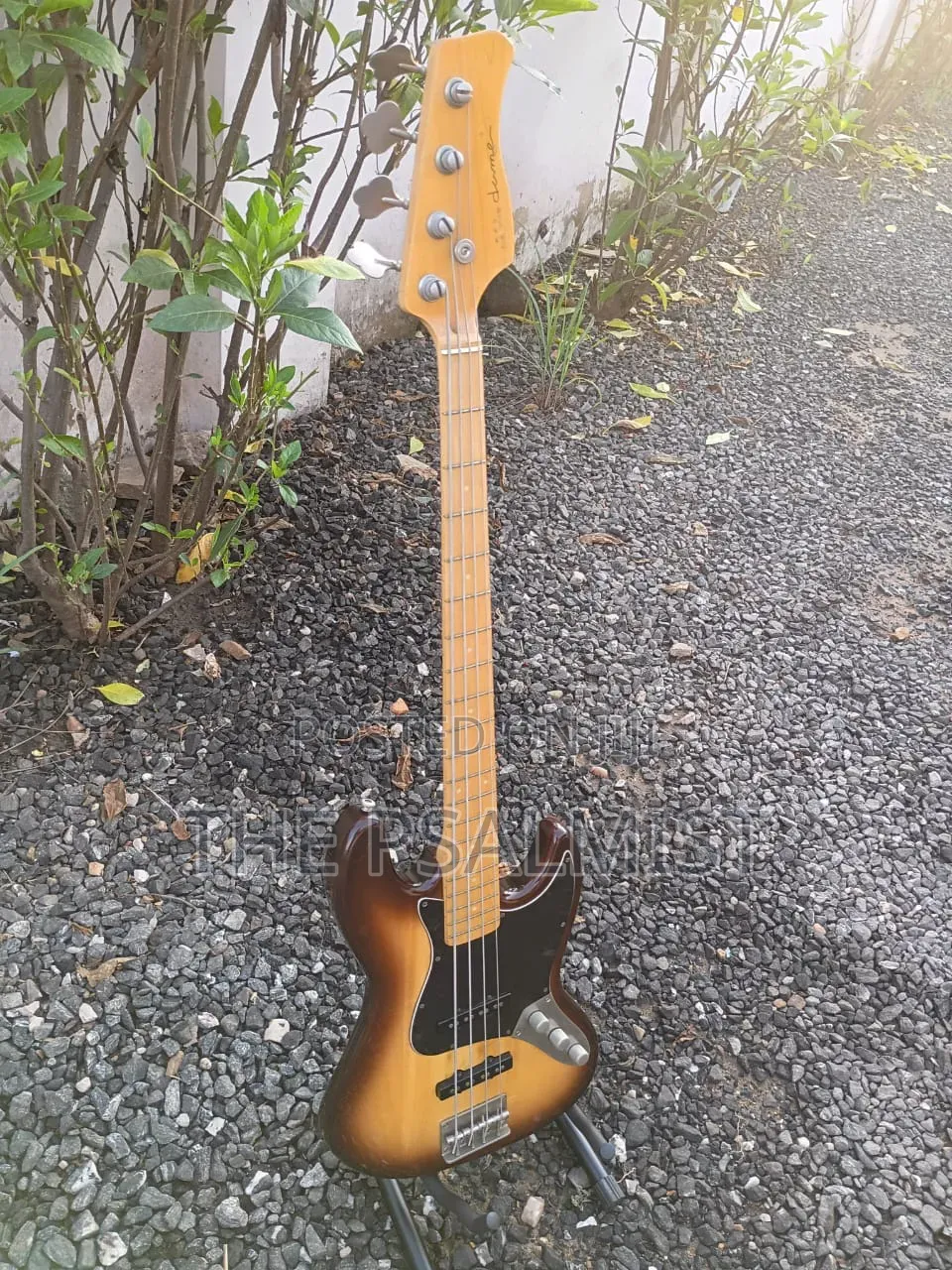 Neo Classicism Dame 4strings Bass Professional Guitar 8
