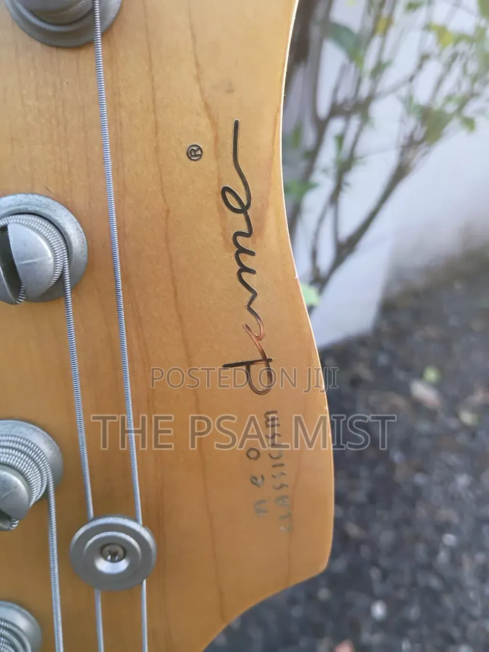 Neo Classicism Dame 4strings Bass Professional Guitar 8