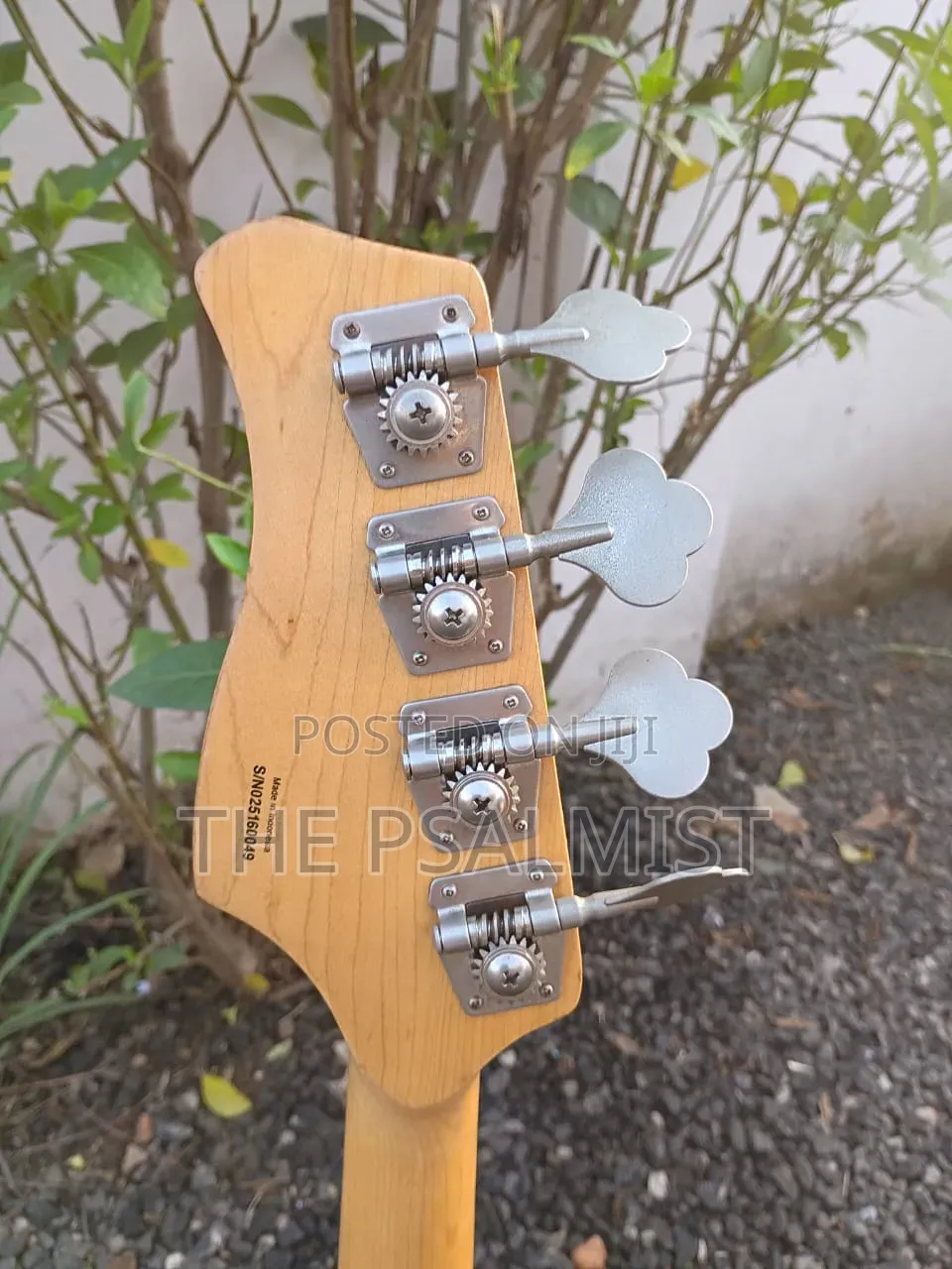 Neo Classicism Dame 4strings Bass Professional Guitar 8