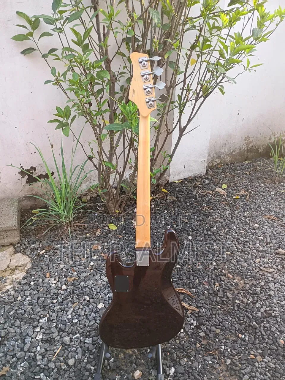 Neo Classicism Dame 4strings Bass Professional Guitar 8
