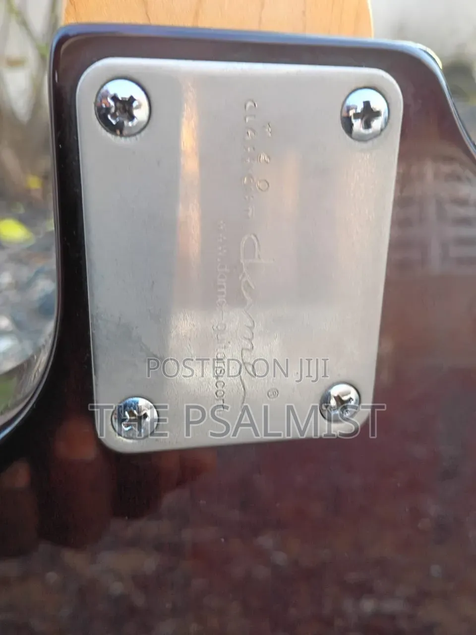 Neo Classicism Dame 4strings Bass Professional Guitar 8