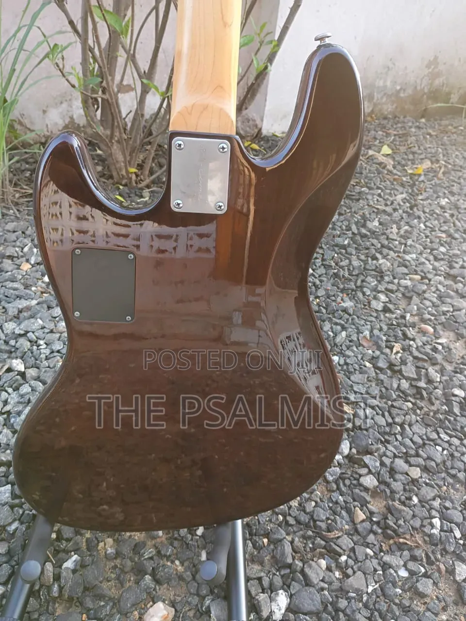 Neo Classicism Dame 4strings Bass Professional Guitar 8