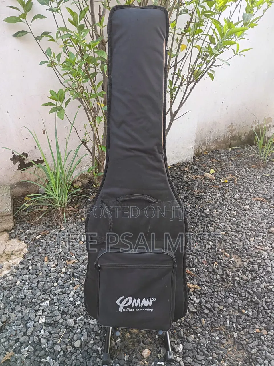 Neo Classicism Dame 4strings Bass Professional Guitar 8
