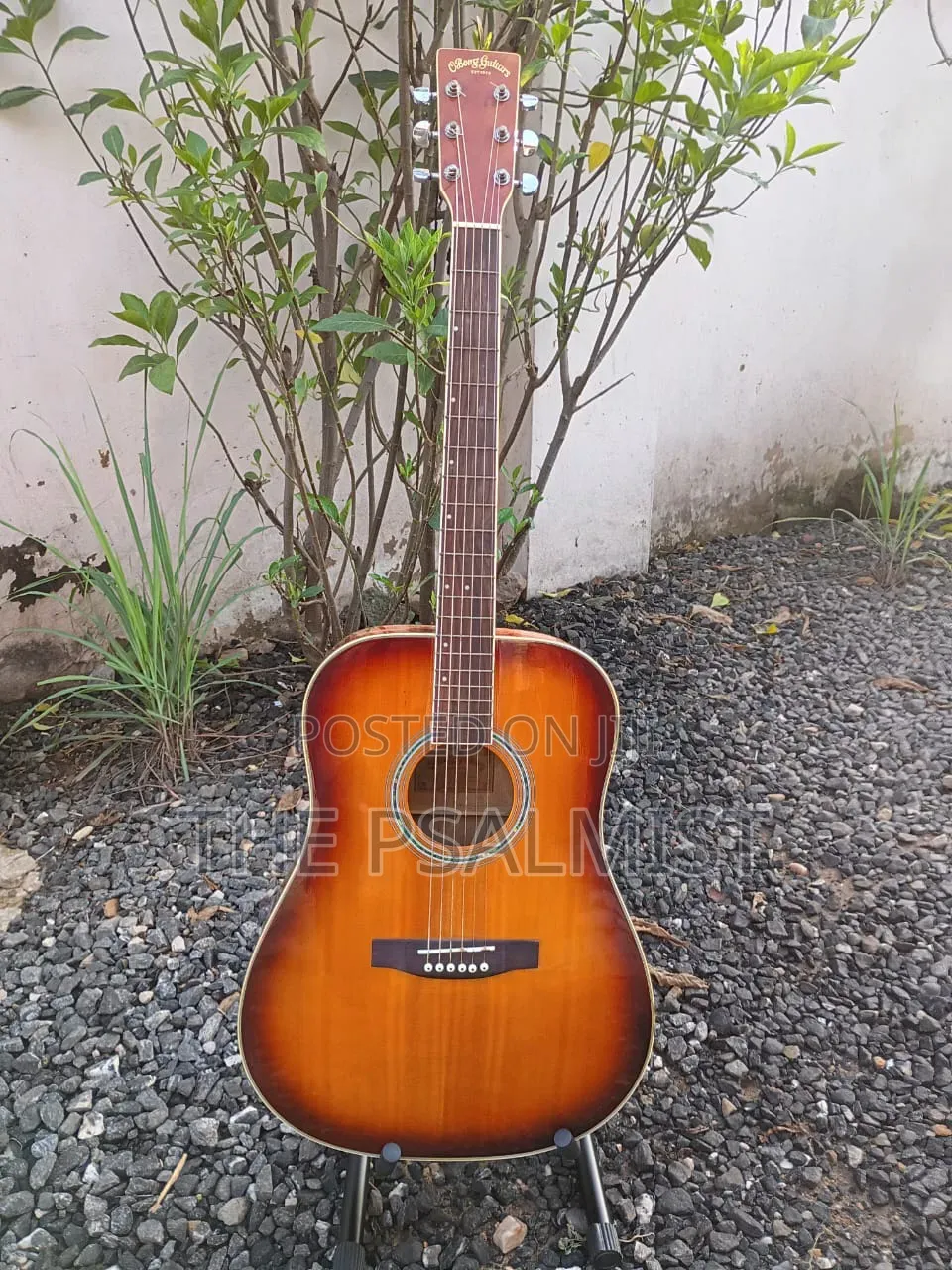 Obong Acoustic Guitars Est.1975