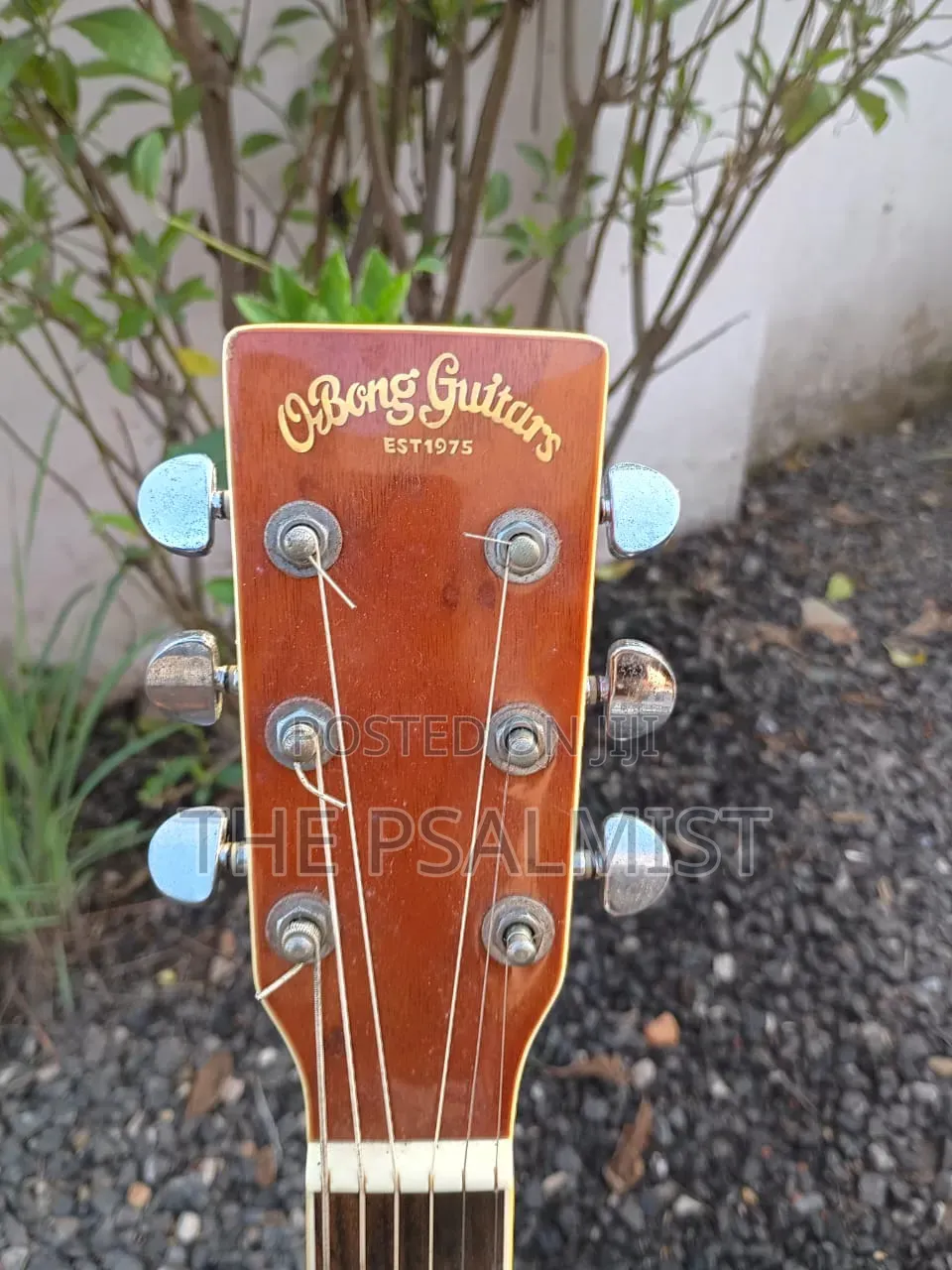 Obong Acoustic Guitars Est.1975