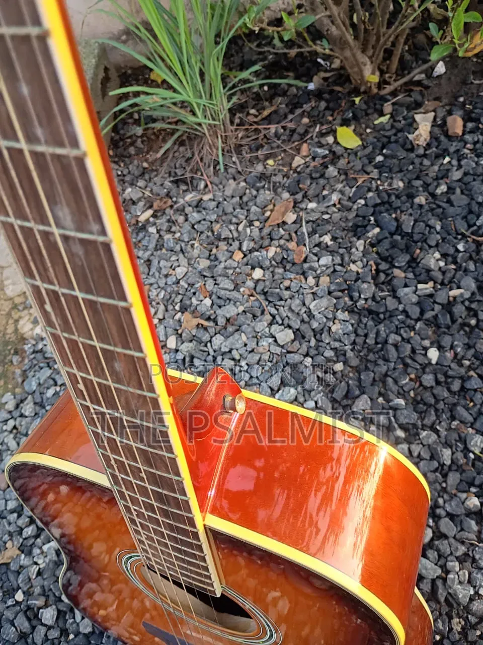Obong Acoustic Guitars Est.1975
