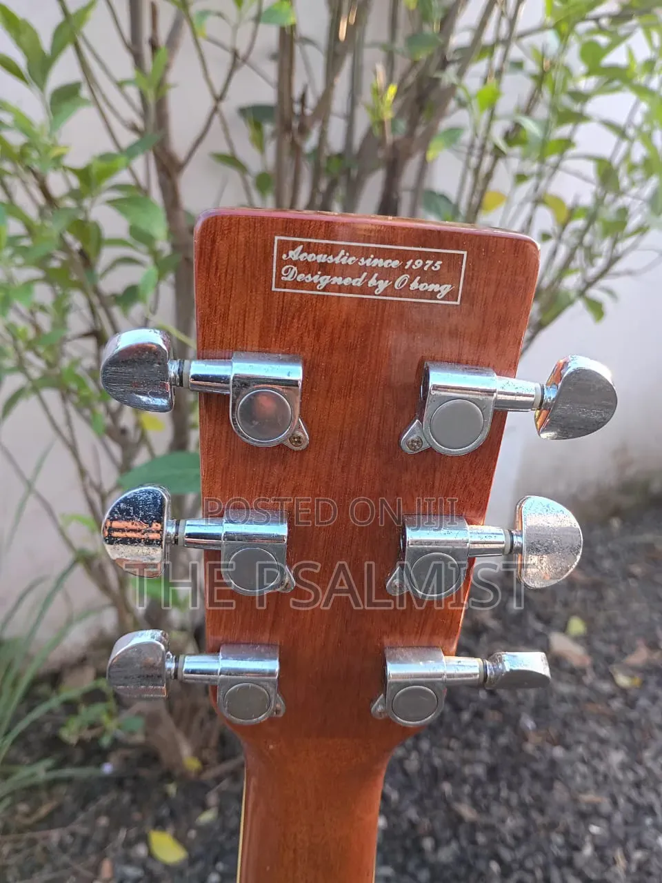Obong Acoustic Guitars Est.1975