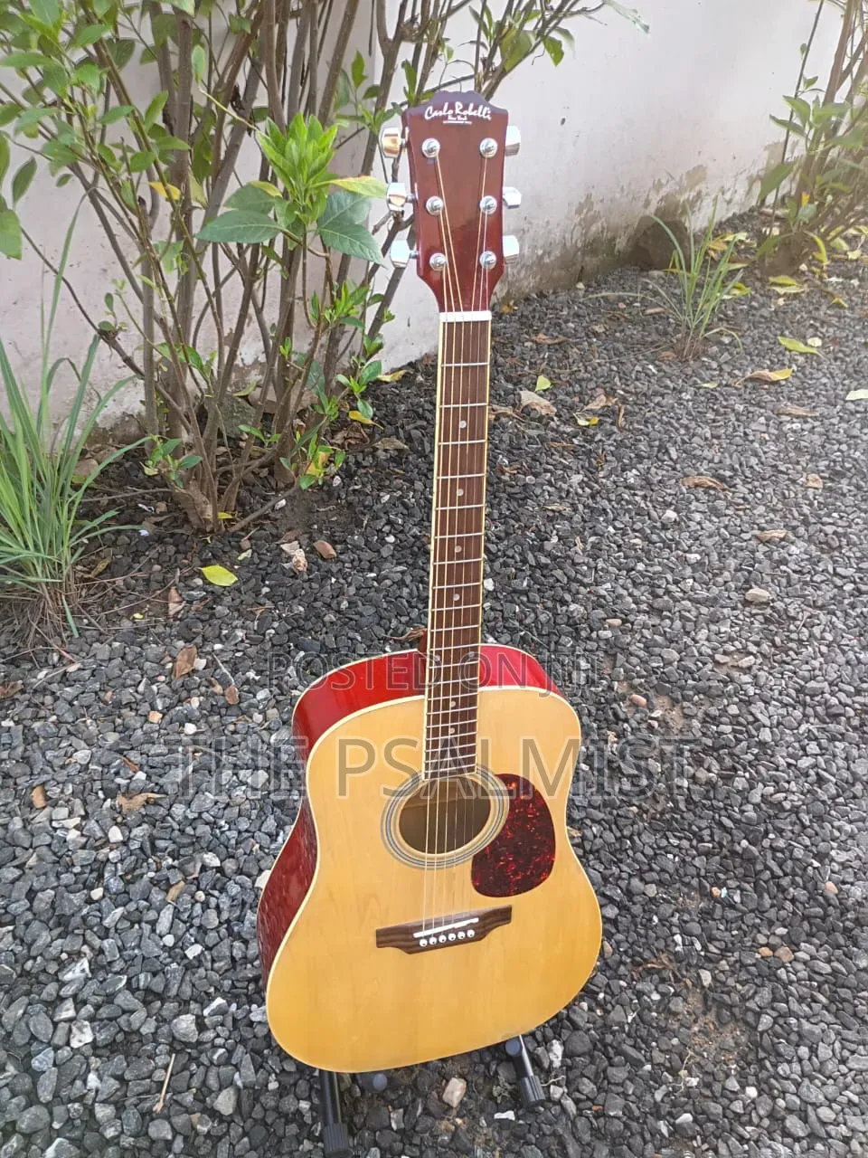 Carlo Robelli Crw410n Est 1932.New York Acoustic Guitar