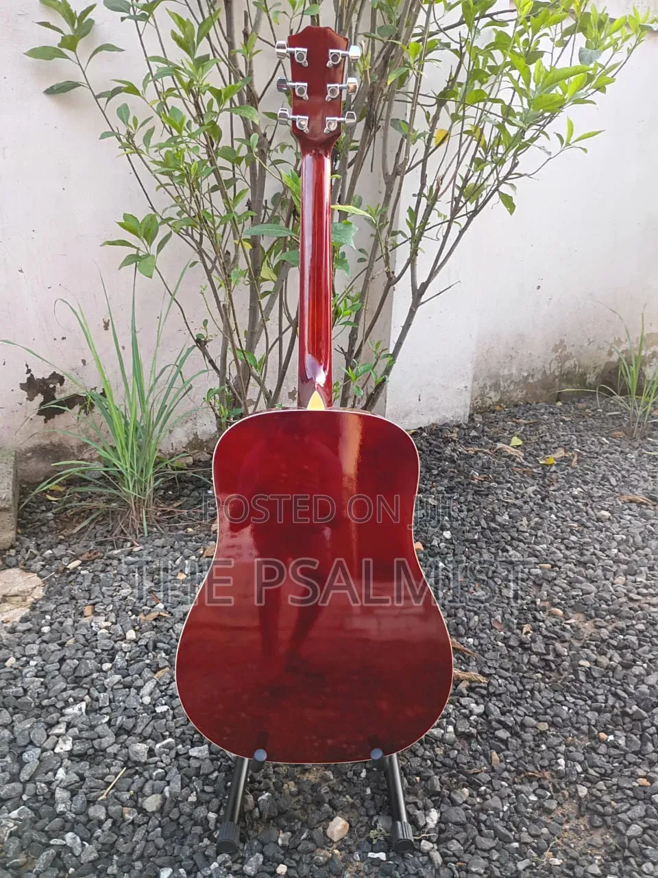 Carlo Robelli Crw410n Est 1932.New York Acoustic Guitar