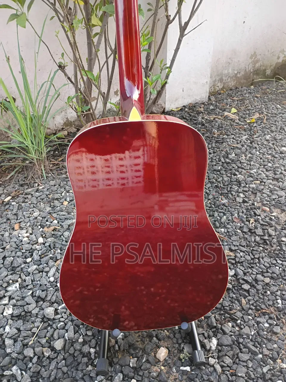 Carlo Robelli Crw410n Est 1932.New York Acoustic Guitar