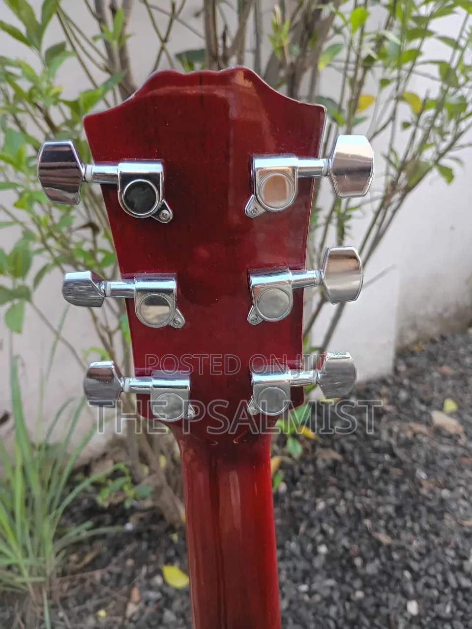 Carlo Robelli Crw410n Est 1932.New York Acoustic Guitar
