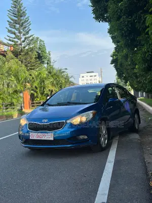 Kia Forte EX Sedan 2014 Blue