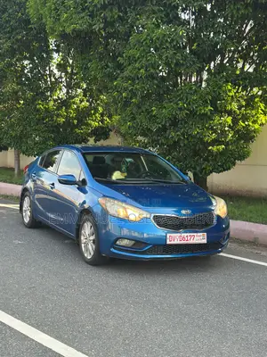 Kia Forte EX Sedan 2014 Blue
