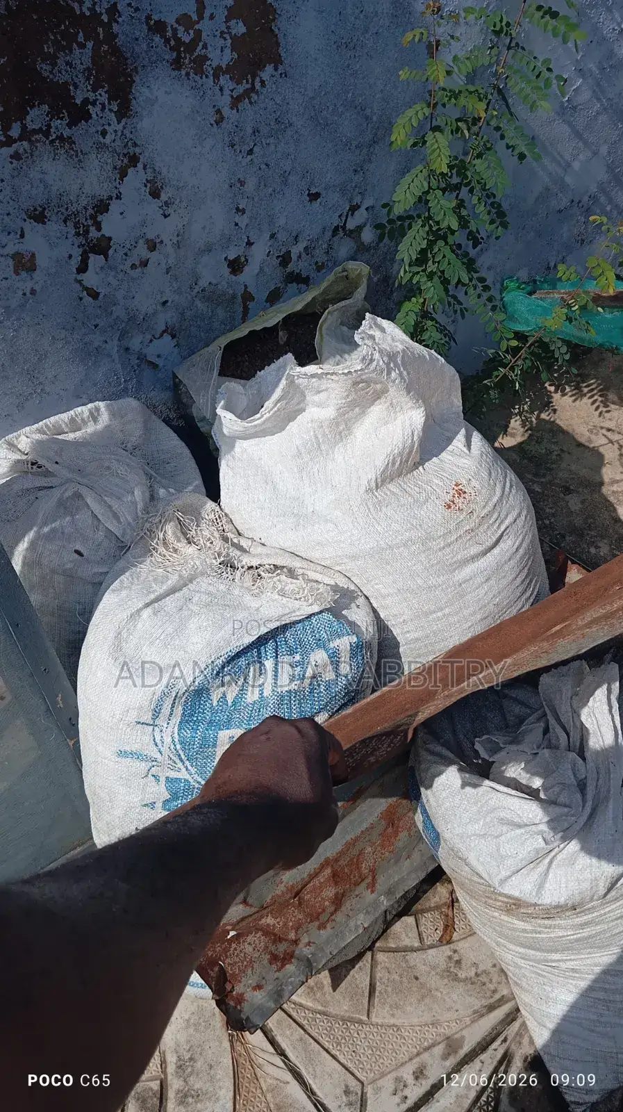Organic Rabbits Manure/Fertilizer for Farm or Garden