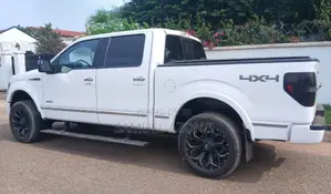 Ford F-150 Platinum 4dr SuperCrew 4WD 5.5 ft. SB (5.0L 8cyl 6A) 2014