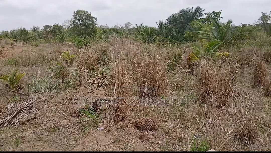 Registered Land for Sale at Gomoa Dominase Close to District Assembly