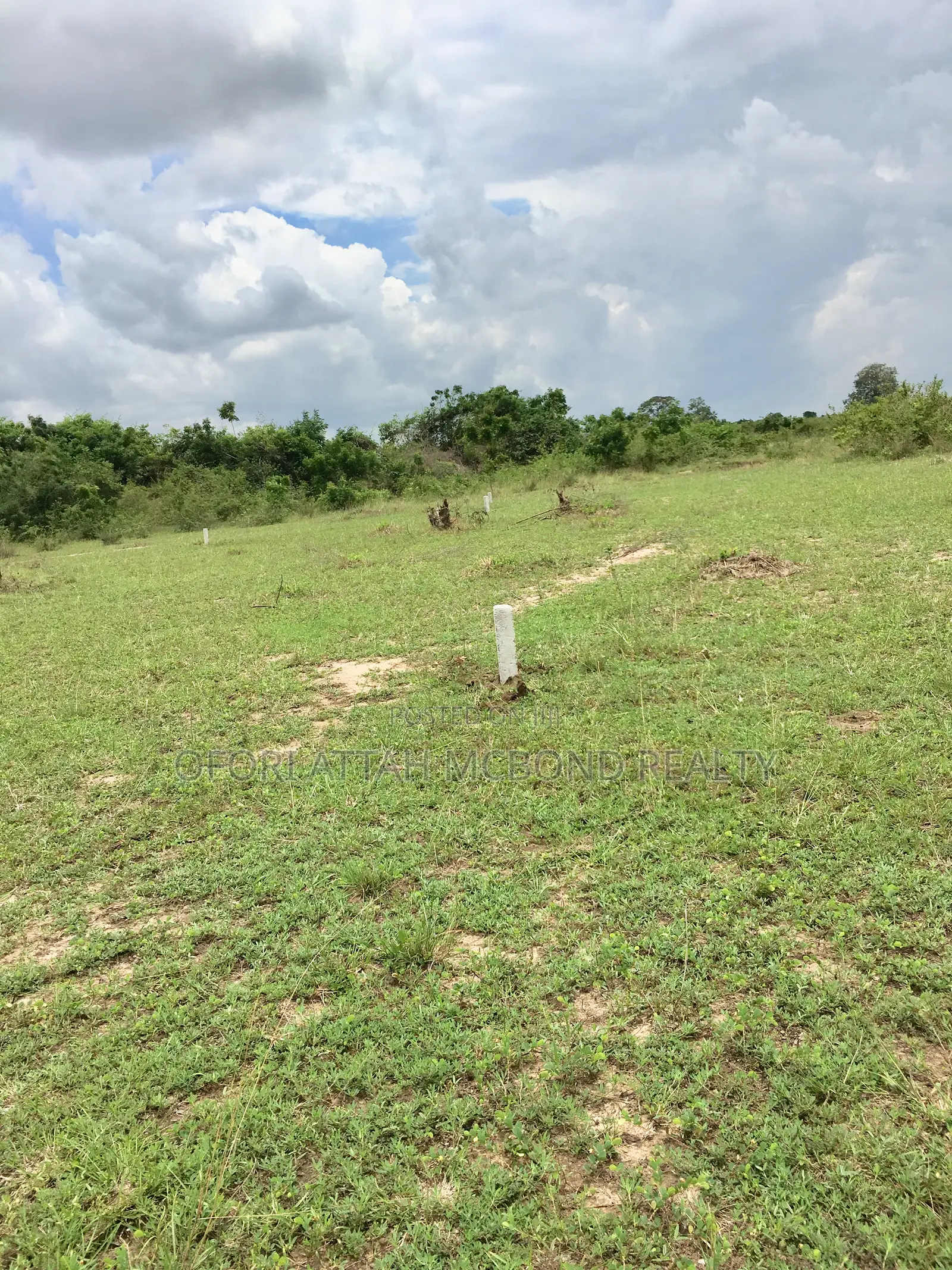 Genuine Lands for Sale - Afienya Land in a Residential Community .; 