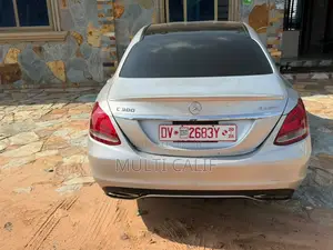 Mercedes-Benz C300 Luxury 4Matic Sedan AWD (2.0L 4cyl 7A) 2016 Silver