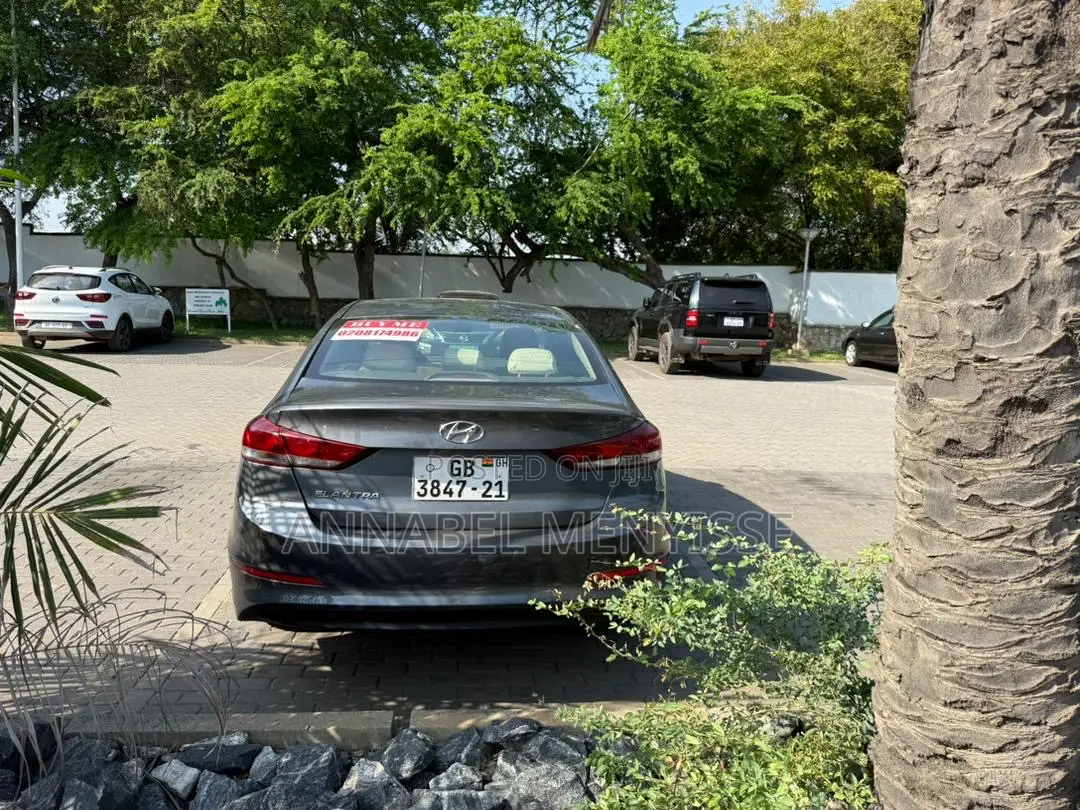 Hyundai Elantra Sport Sedan FWD (1.6L 4cyl 6M) 2017 Gray
