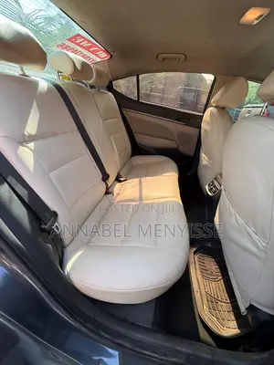 Hyundai Elantra Sport Sedan FWD (1.6L 4cyl 6M) 2017 Gray