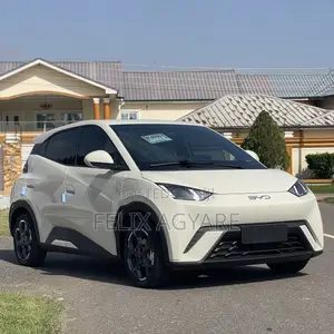 New BYD Seagull 2024 Off white