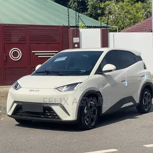 New BYD Seagull 2024 Off white
