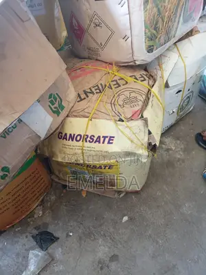 Unrefined Northern Shea Butter 36kg